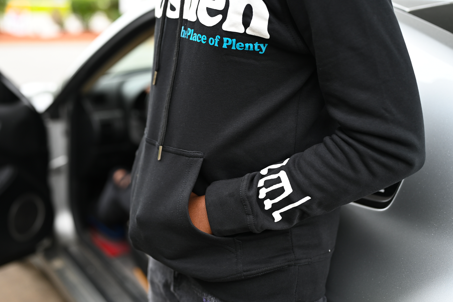 Goshen Puff Print Hoodie