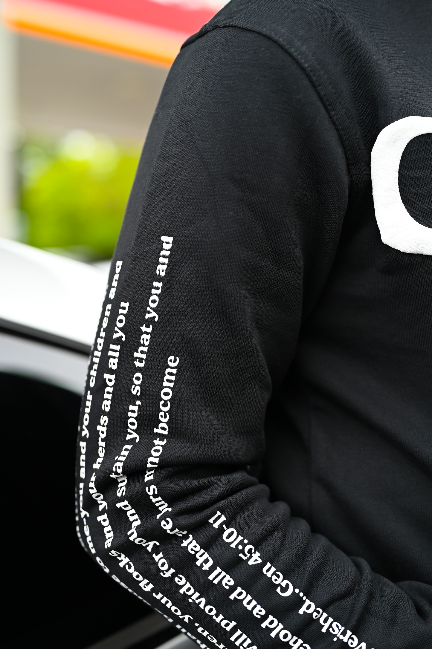 Goshen Puff Print Hoodie