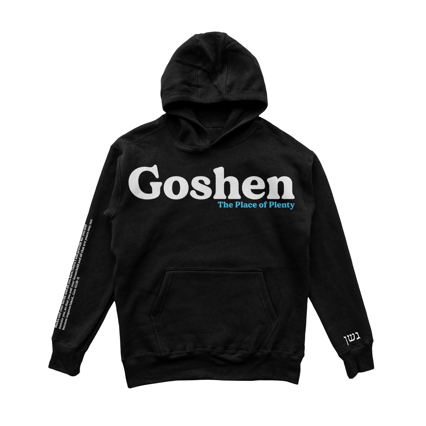 Goshen Puff Print Hoodie