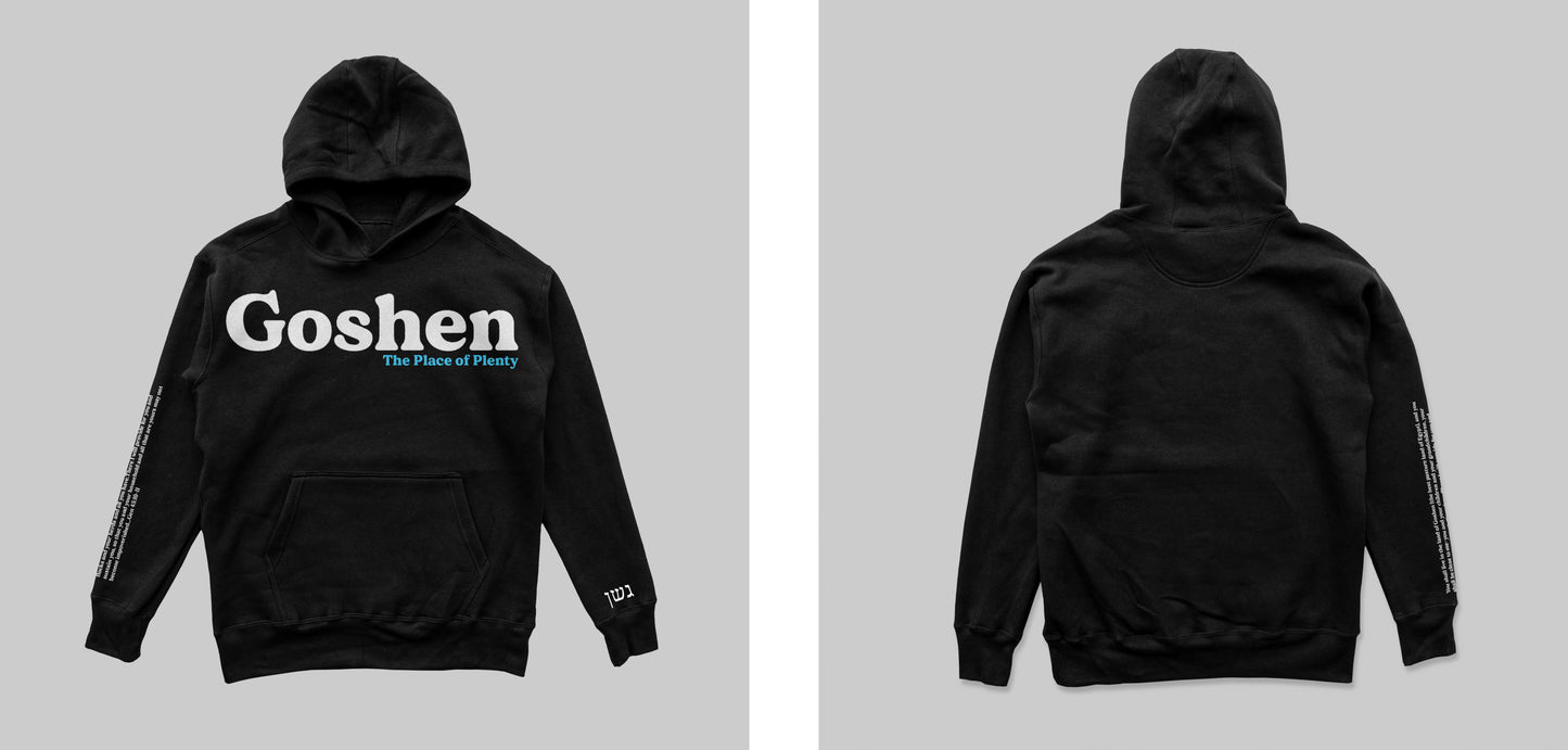 Goshen Puff Print Hoodie
